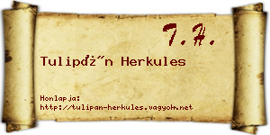 Tulipán Herkules névjegykártya
